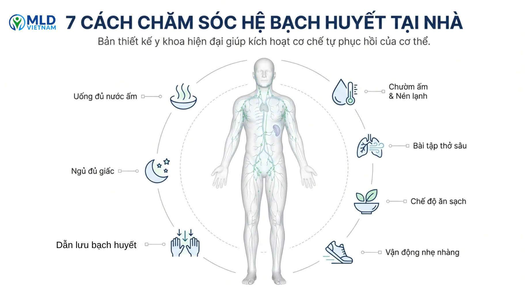 7 cách chăm sóc hệ bạch huyết tại nhà – đơn giản nhưng rất hiệu quả