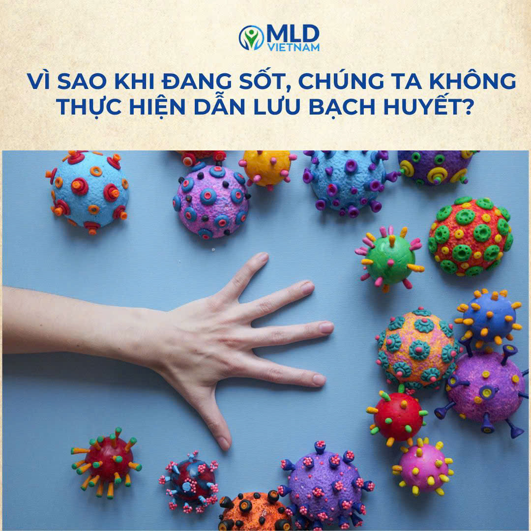 Vì sao khi đang sốt, chúng ta không thực hiện dẫn lưu bạch huyết?