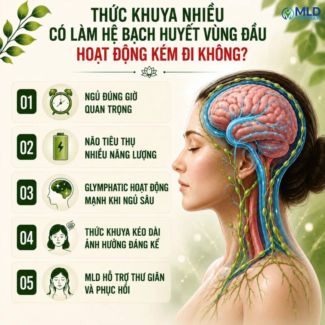 Thức khuya nhiều có làm hệ bạch huyết vùng đầu hoạt động kém đi không?