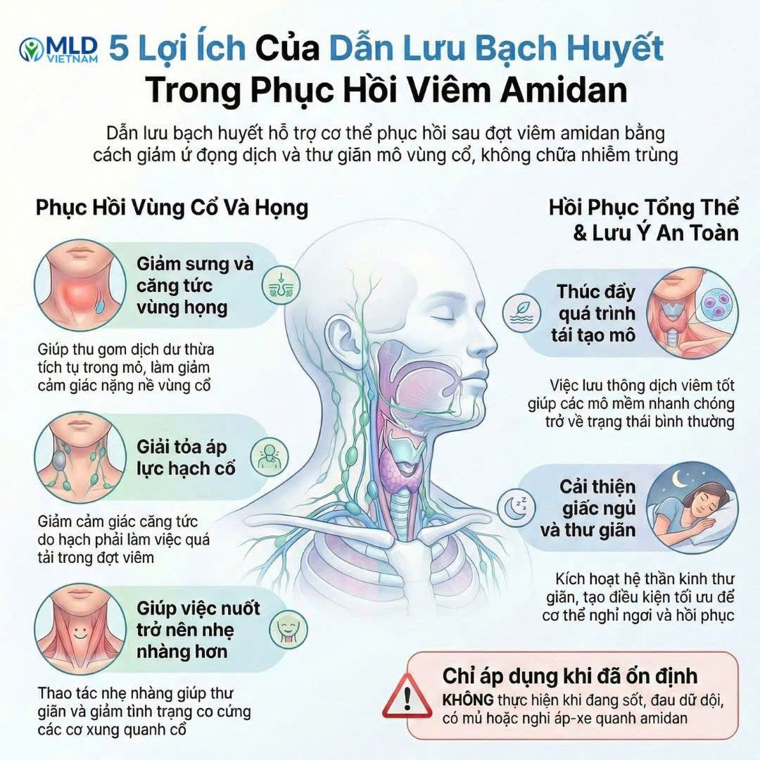 5 tác dụng dễ hiểu của Dẫn lưu Bạch huyết khi chăm sóc viêm amidan