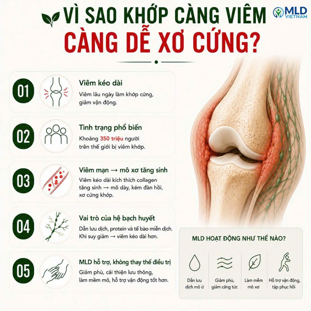 Vì sao khớp càng viêm càng dễ xơ cứng?