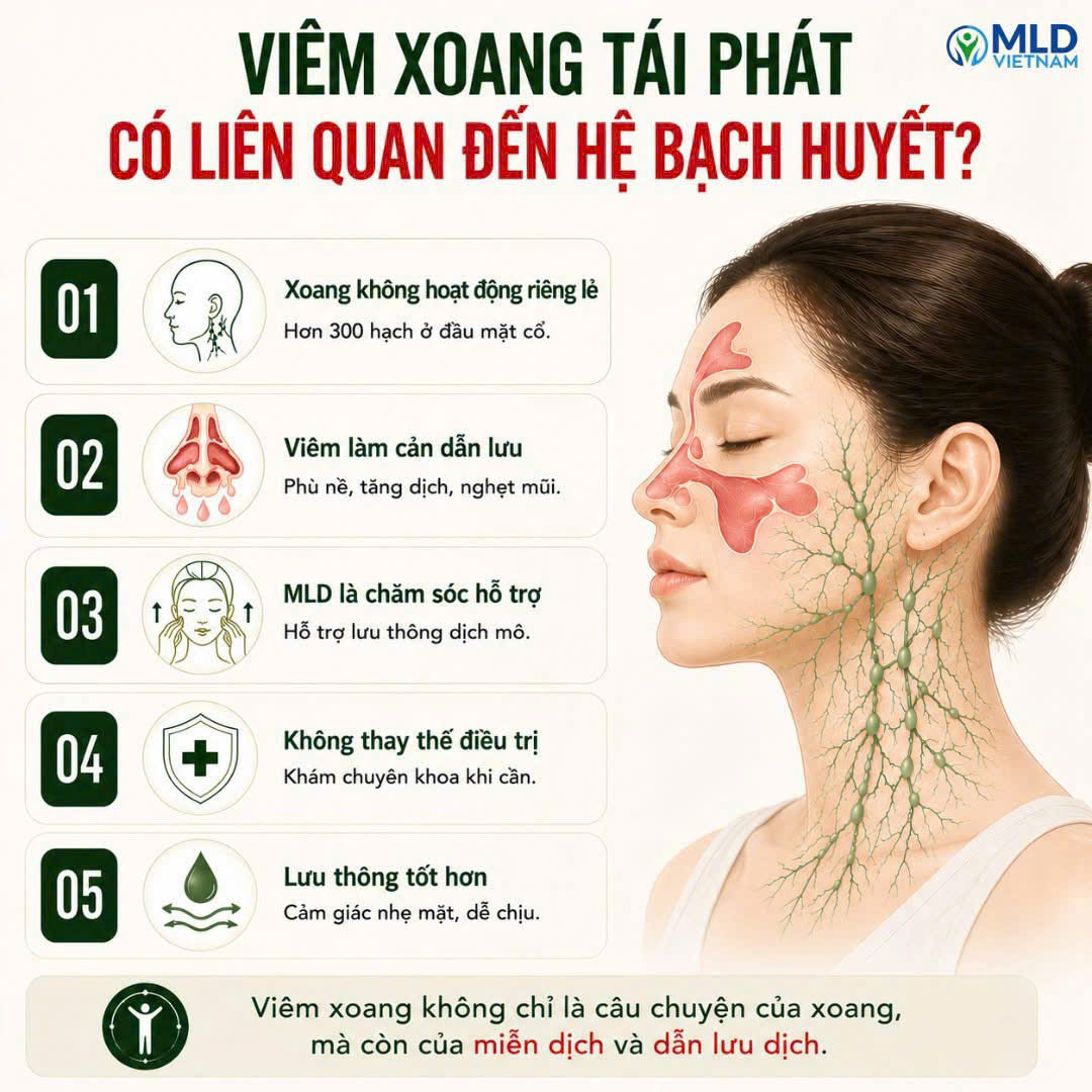 Viêm xoang tái phát có liên quan đến hệ bạch huyết không?