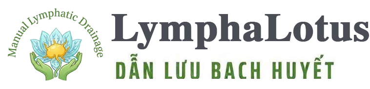 Dẫn lưu bạch huyết (MLD) - Chăm Sóc Hệ Bạch Huyết